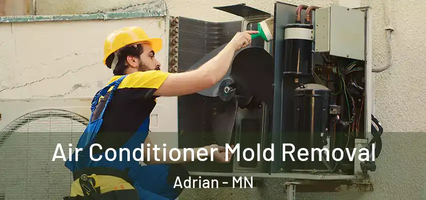 Air Conditioner Mold Removal Adrian - MN