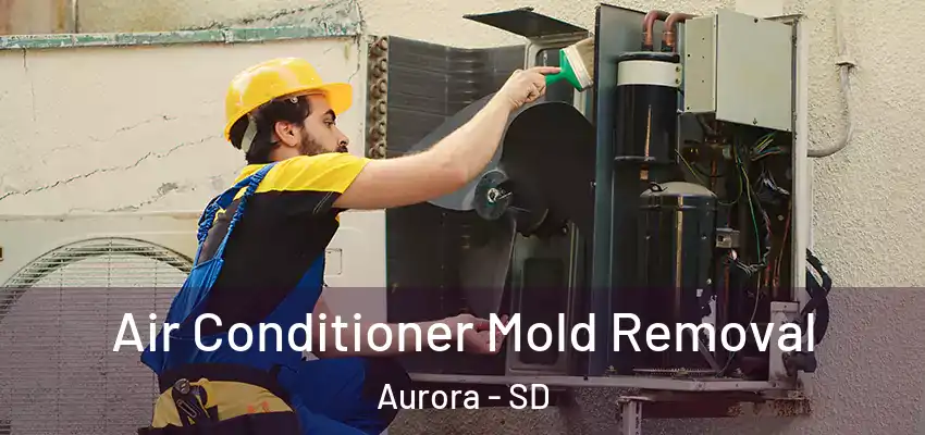 Air Conditioner Mold Removal Aurora - SD
