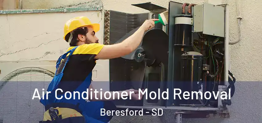 Air Conditioner Mold Removal Beresford - SD