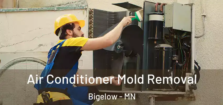  Air Conditioner Mold Removal Bigelow - MN