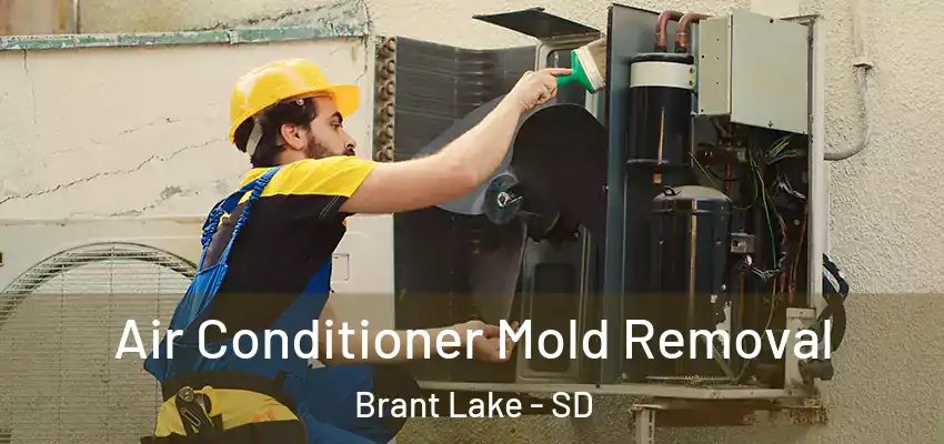  Air Conditioner Mold Removal Brant Lake - SD