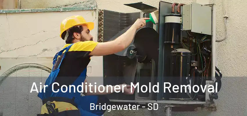  Air Conditioner Mold Removal Bridgewater - SD