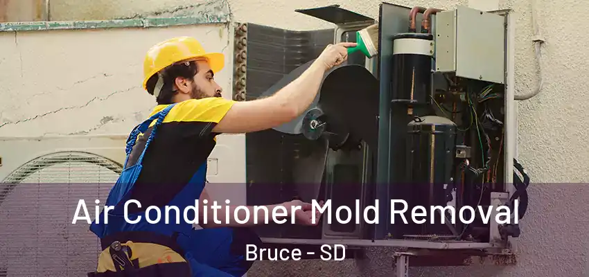 Air Conditioner Mold Removal Bruce - SD