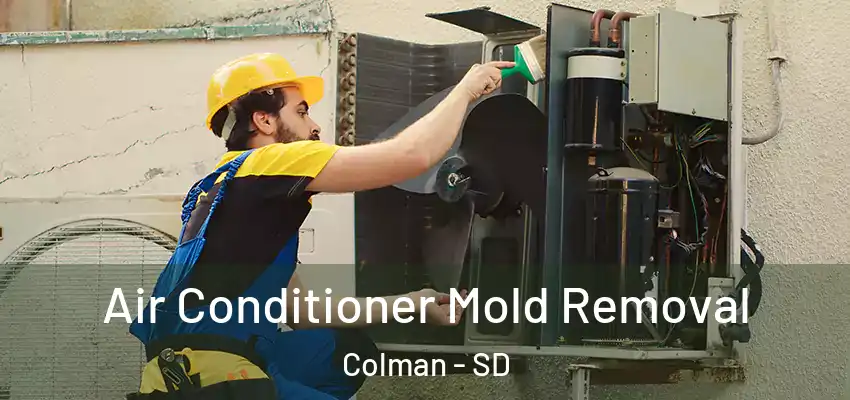 Air Conditioner Mold Removal Colman - SD