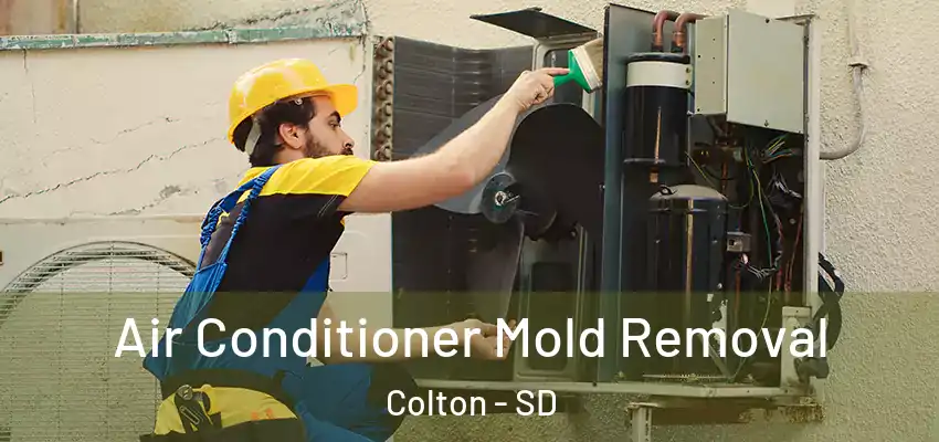  Air Conditioner Mold Removal Colton - SD