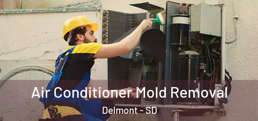 Air Conditioner Mold Removal Delmont - SD