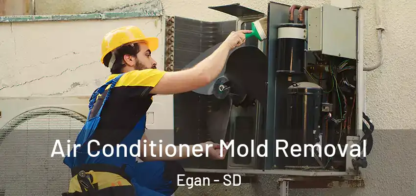  Air Conditioner Mold Removal Egan - SD