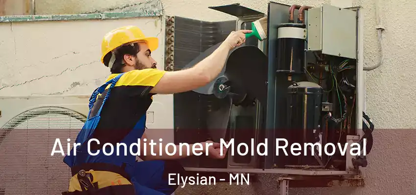  Air Conditioner Mold Removal Elysian - MN