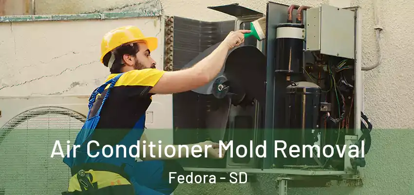  Air Conditioner Mold Removal Fedora - SD
