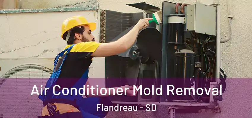 Air Conditioner Mold Removal Flandreau - SD