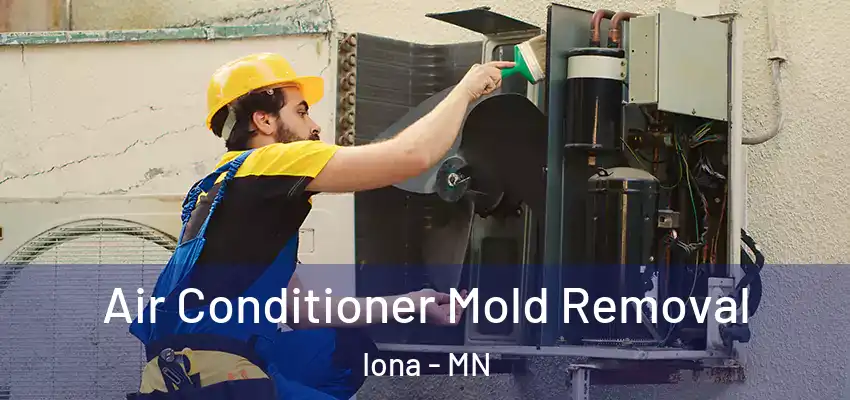  Air Conditioner Mold Removal Iona - MN