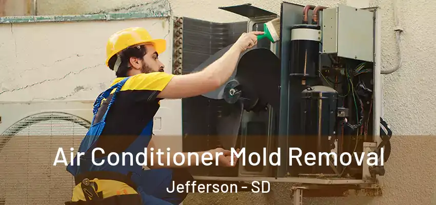  Air Conditioner Mold Removal Jefferson - SD