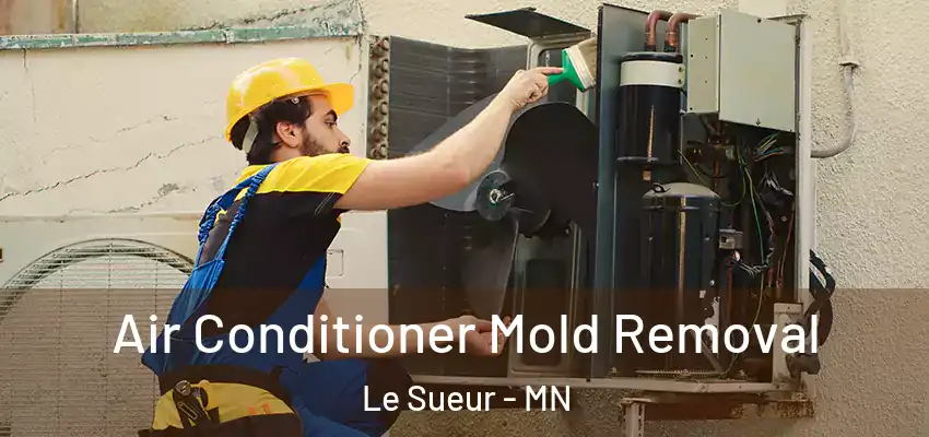  Air Conditioner Mold Removal Le Sueur - MN