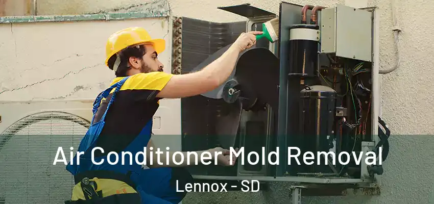  Air Conditioner Mold Removal Lennox - SD