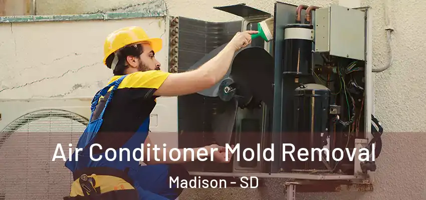 Air Conditioner Mold Removal Madison - SD