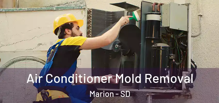  Air Conditioner Mold Removal Marion - SD