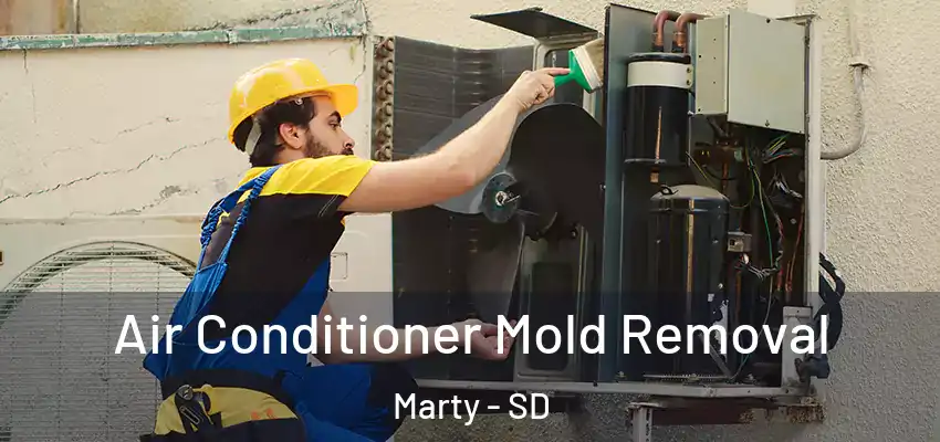  Air Conditioner Mold Removal Marty - SD