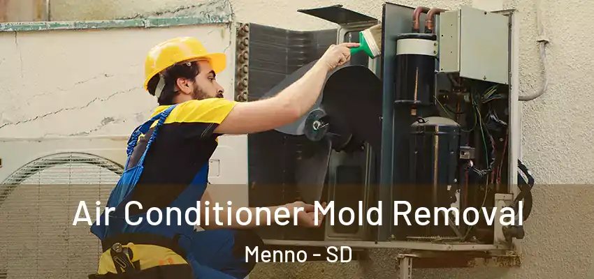  Air Conditioner Mold Removal Menno - SD