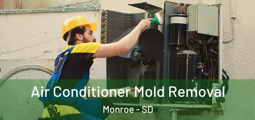 Air Conditioner Mold Removal Monroe - SD