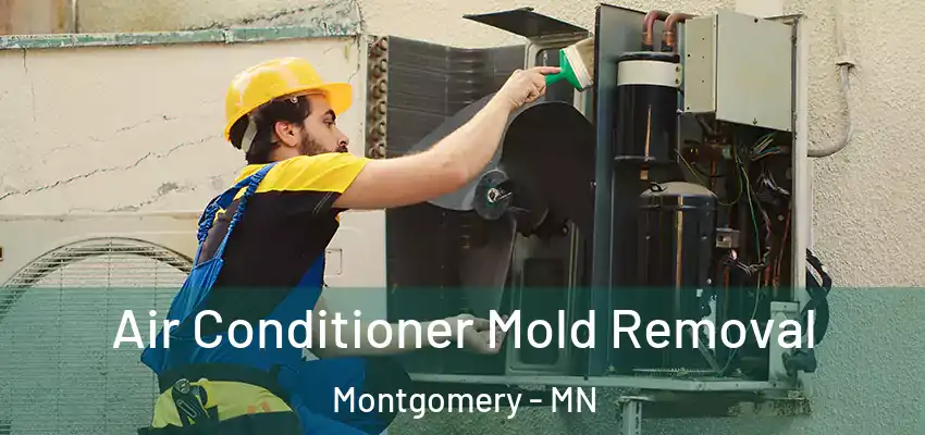  Air Conditioner Mold Removal Montgomery - MN