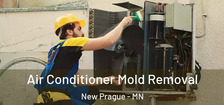 Air Conditioner Mold Removal New Prague - MN