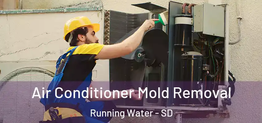  Air Conditioner Mold Removal Running Water - SD