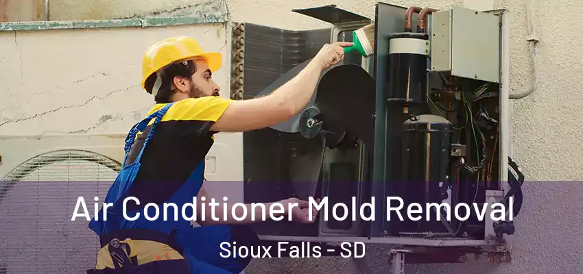  Air Conditioner Mold Removal Sioux Falls - SD