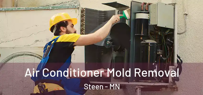  Air Conditioner Mold Removal Steen - MN