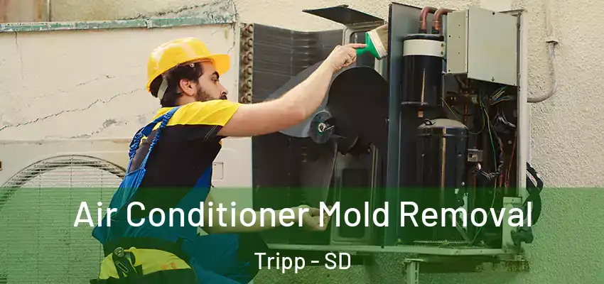  Air Conditioner Mold Removal Tripp - SD