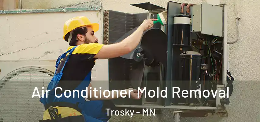  Air Conditioner Mold Removal Trosky - MN