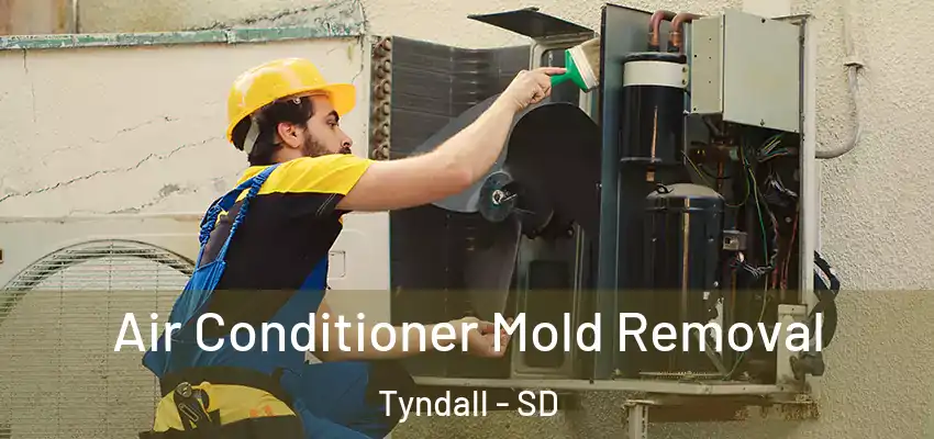  Air Conditioner Mold Removal Tyndall - SD