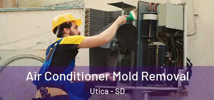  Air Conditioner Mold Removal Utica - SD