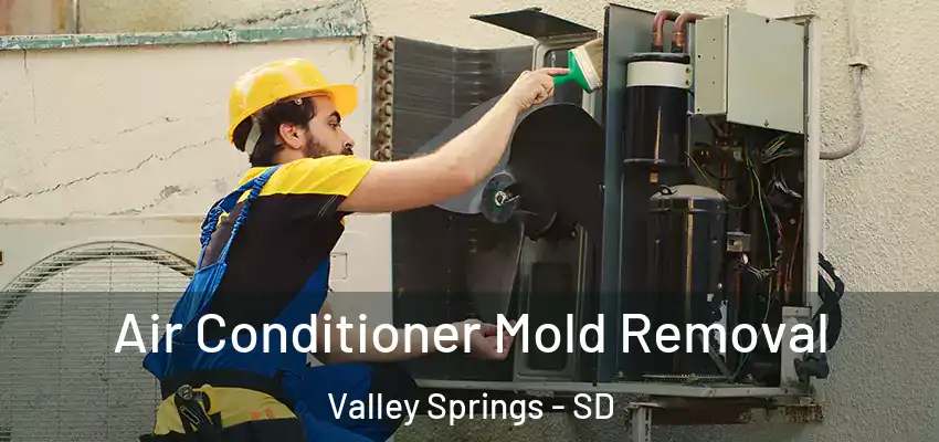 Air Conditioner Mold Removal Valley Springs - SD