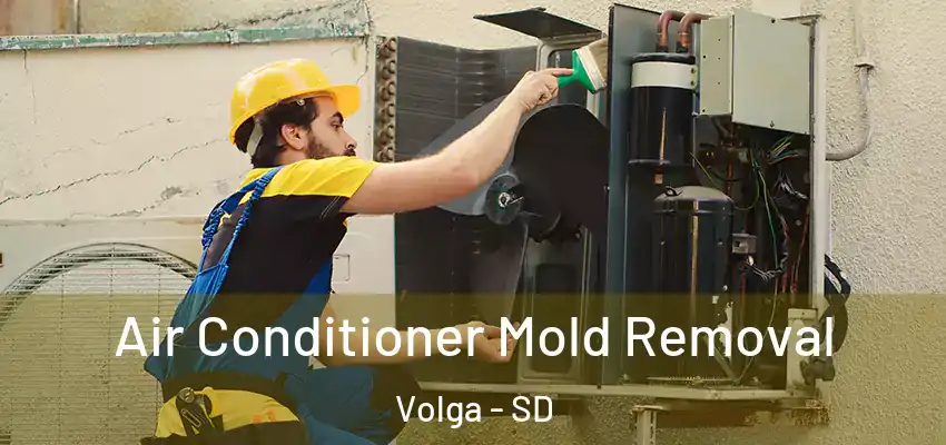  Air Conditioner Mold Removal Volga - SD