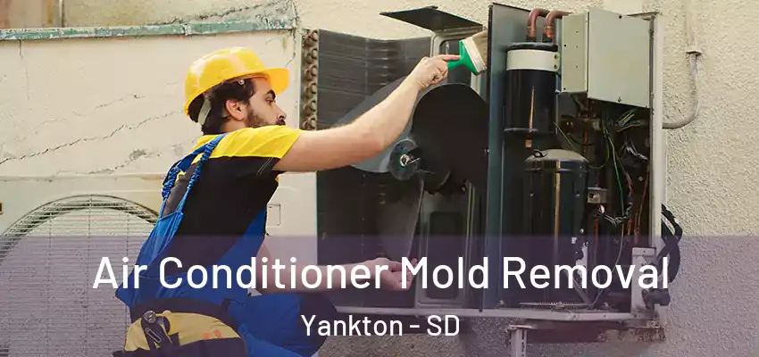  Air Conditioner Mold Removal Yankton - SD