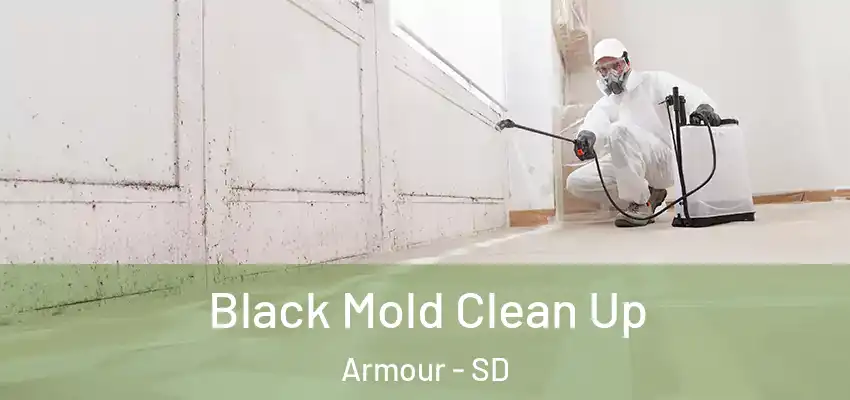 Black Mold Clean Up Armour - SD