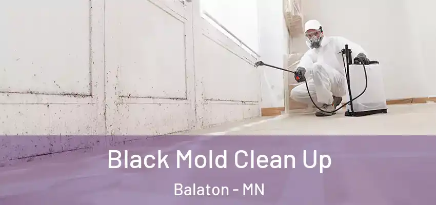 Black Mold Clean Up Balaton - MN