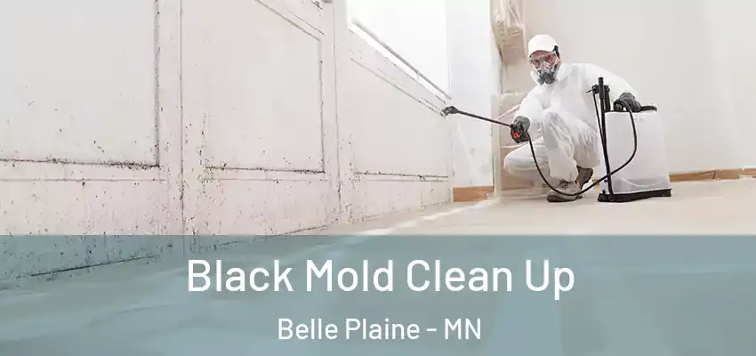  Black Mold Clean Up Belle Plaine - MN