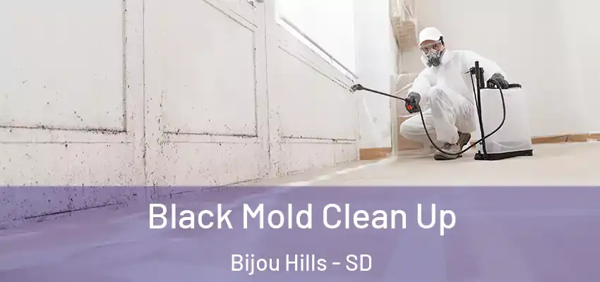  Black Mold Clean Up Bijou Hills - SD