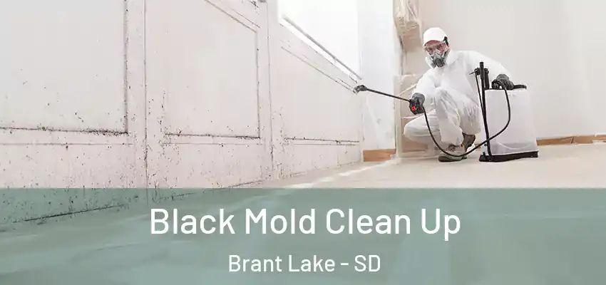 Black Mold Clean Up Brant Lake - SD