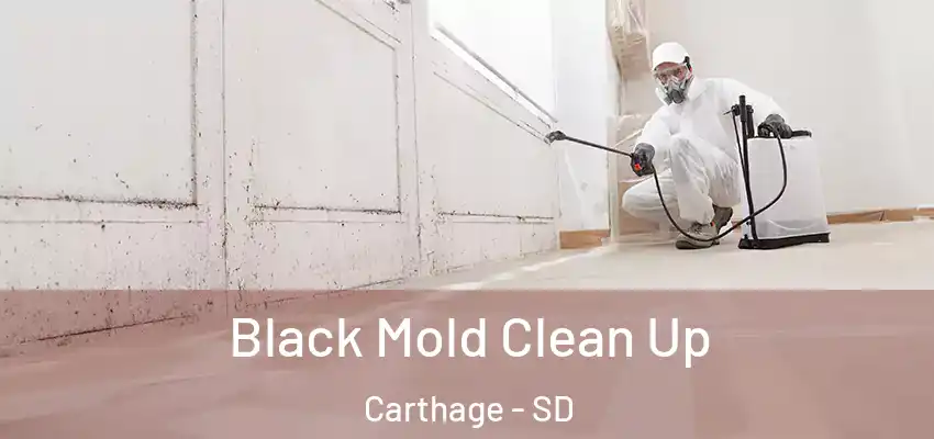  Black Mold Clean Up Carthage - SD