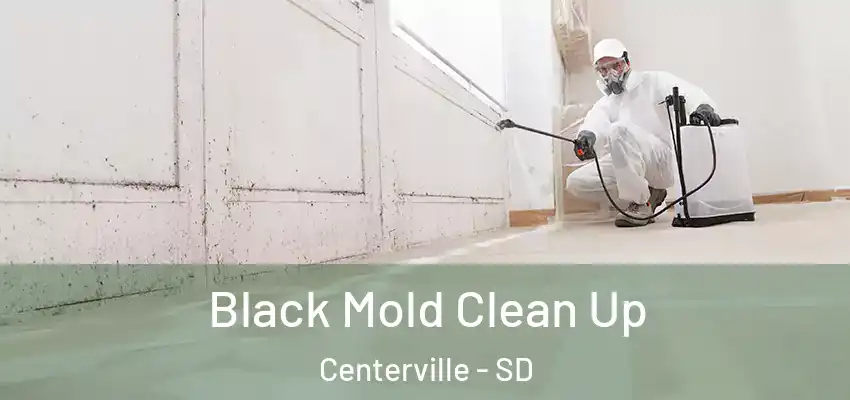  Black Mold Clean Up Centerville - SD