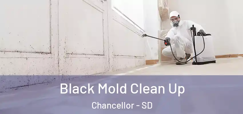 Black Mold Clean Up Chancellor - SD