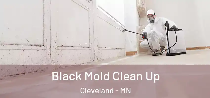  Black Mold Clean Up Cleveland - MN