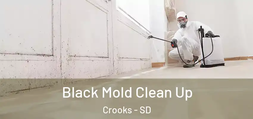 Black Mold Clean Up Crooks - SD