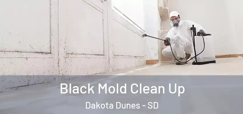  Black Mold Clean Up Dakota Dunes - SD