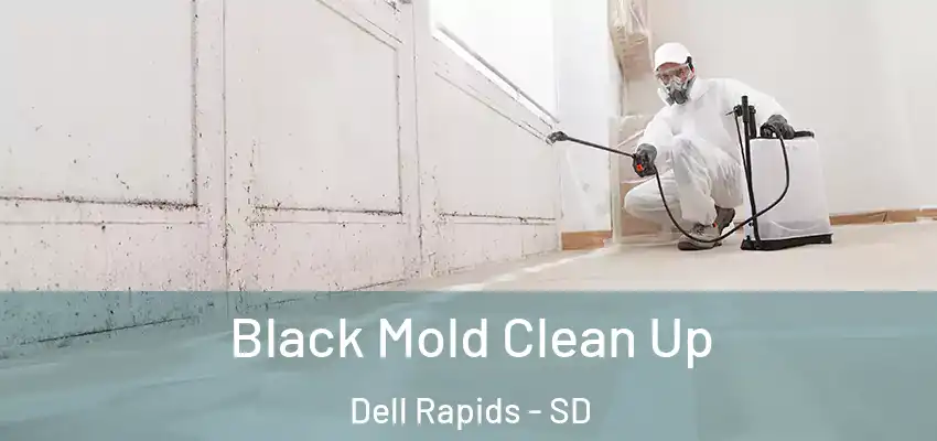 Black Mold Clean Up Dell Rapids - SD