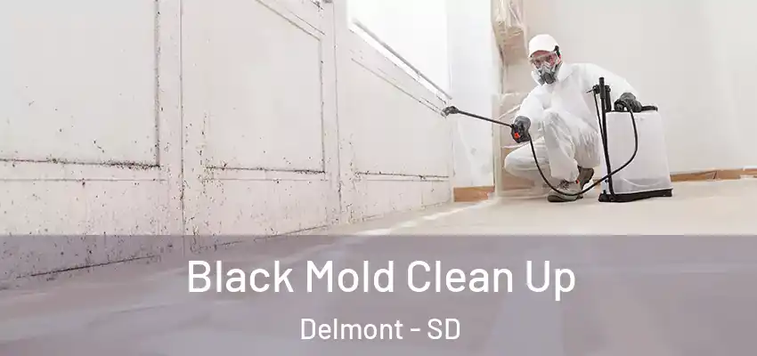 Black Mold Clean Up Delmont - SD