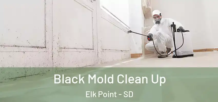  Black Mold Clean Up Elk Point - SD