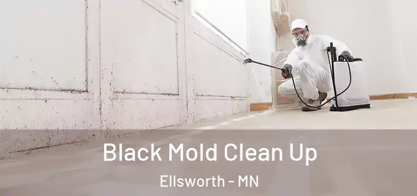 Black Mold Clean Up Ellsworth - MN